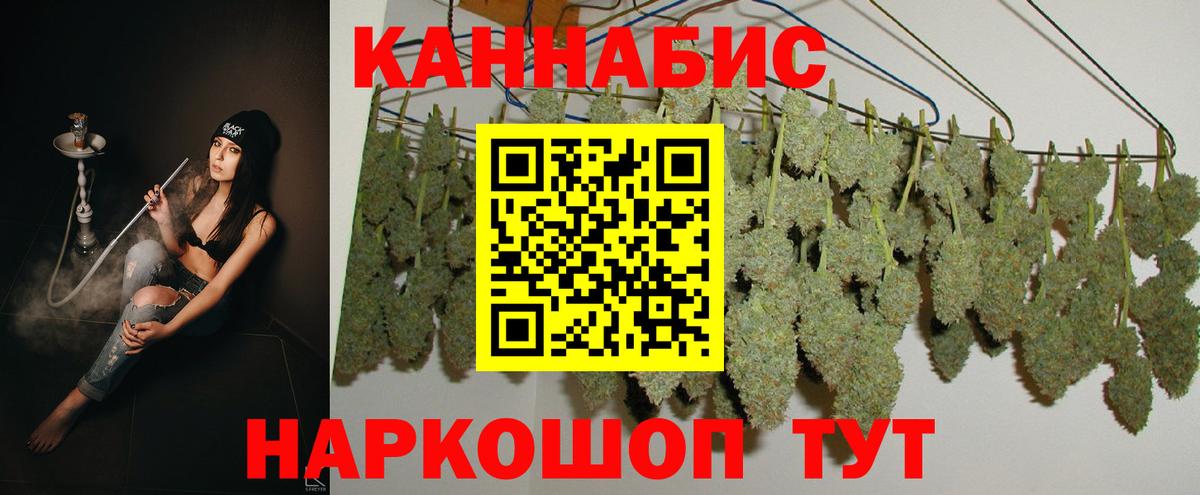 Бошки марихуана AK-47  Шишки марихуана планчик  Вход с VPN  Нововоронеж  Каннабис AK-47 